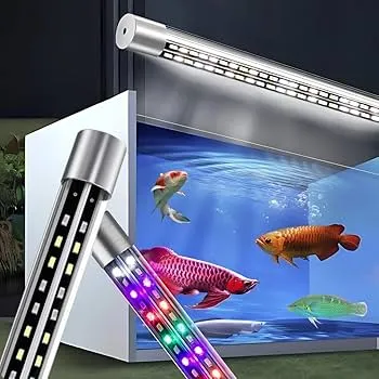 Aquarium lights