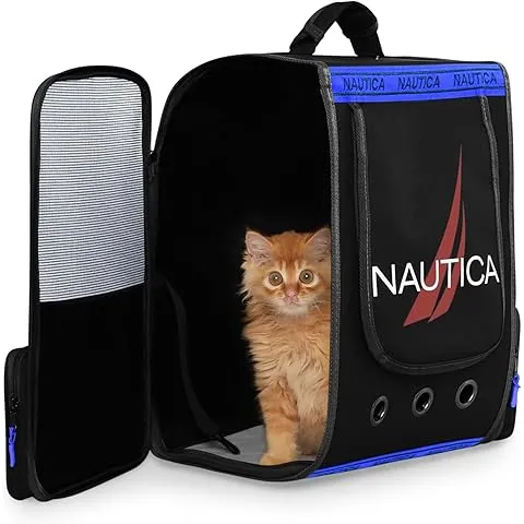 Cats and accessories