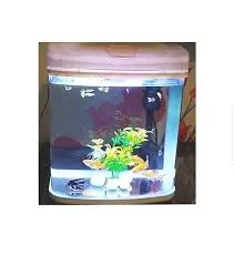 RS Electrical Glass Aquarium Only RS-230EL (L*W*H = 23*20*23 cms)